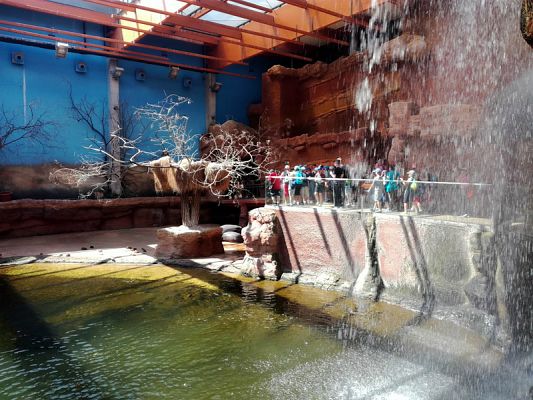  Grafika #7: WYCIECZKA DO WROCŁAWIA