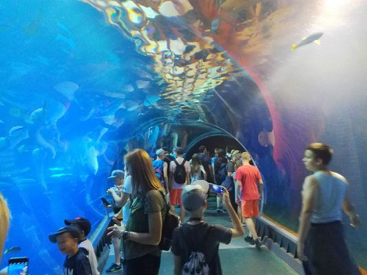  Grafika #8: WYCIECZKA DO WROCŁAWIA