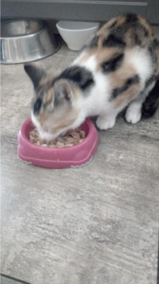  Grafika #8: Dzień Kundekla - zdjęcia