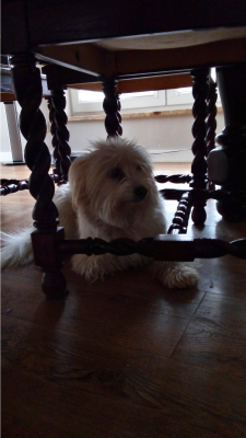  Grafika #14: Dzień Kundekla - zdjęcia