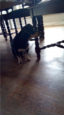  Grafika #13: Dzień Kundekla - zdjęcia