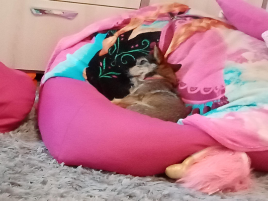  Grafika #2: Dzień Kundekla - zdjęcia