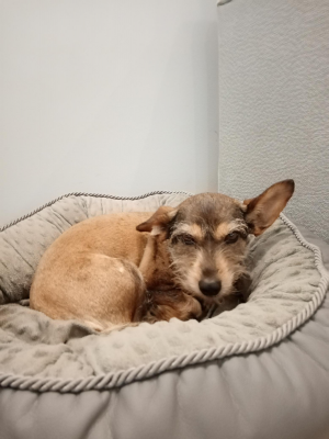  Grafika #4: Dzień Kundekla - zdjęcia