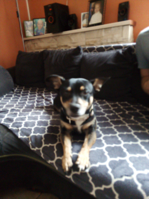  Grafika #9: Dzień Kundekla - zdjęcia