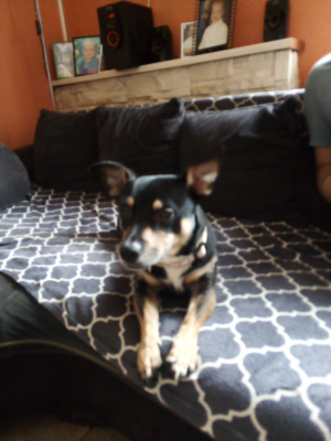  Grafika #7: Dzień Kundekla - zdjęcia