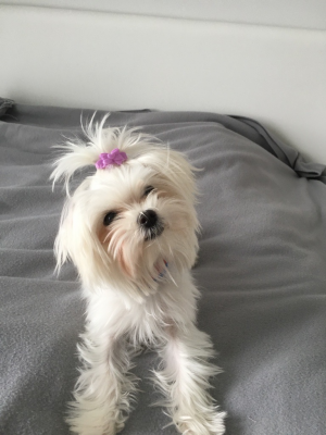  Grafika #0: Dzień Kundekla - zdjęcia