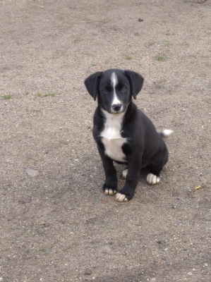  Grafika #10: Dzień Kundekla - zdjęcia