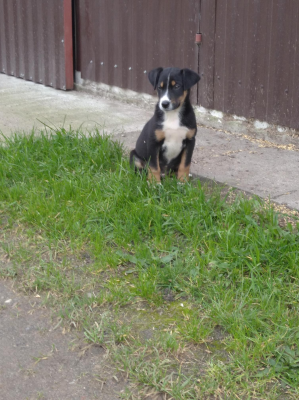  Grafika #15: Dzień Kundekla - zdjęcia