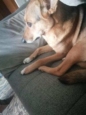  Grafika #6: Dzień Kundekla - zdjęcia