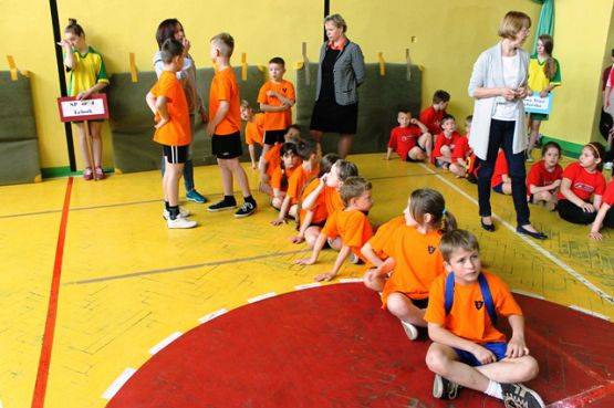 Grafika #8: Olimpiada klas 1-3 2015