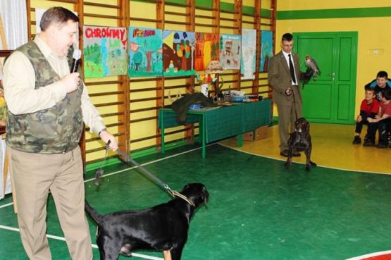 Grafika #7: ŚWIĘTO LASU 20 XI 2013r.