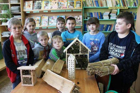 Grafika #4: PSZCZOŁY -IV 2014