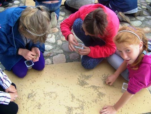  Grafika #1: Wycieczka do DOLINY JADWIGI na Kaszubach