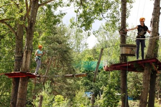 Grafika #16: WYCIECZKA DO PARKU LINOWEGO- ADVENTURE PARK