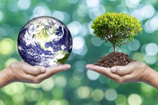 Grafika #1: Dzień ziemi