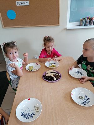  Grafika #13: JESIEŃ W SADZIE