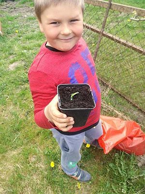  Grafika #67: Zdalne nauczanie - galeria przedszkolaków