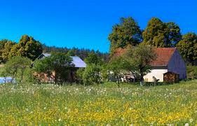  Grafika #0: MIEJSCA, KTÓRE ZNAM