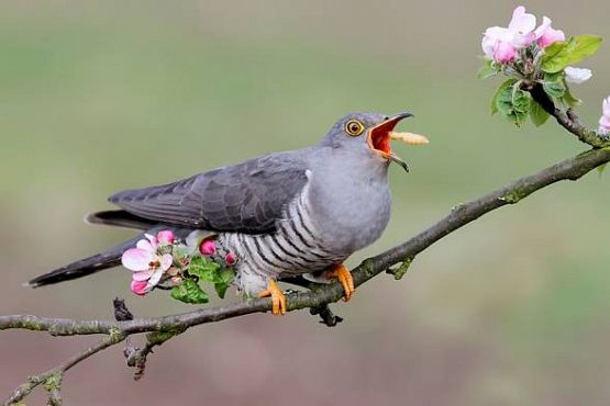 Grafika #1: Wiosenne powroty