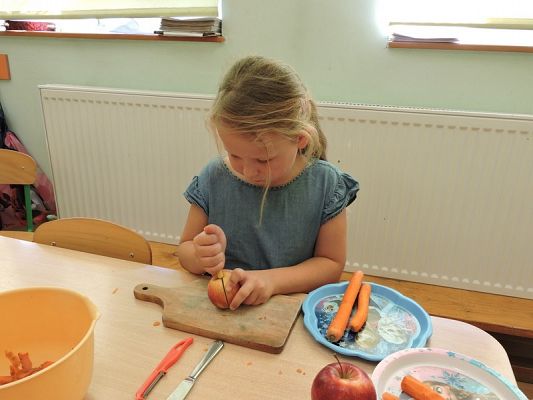  Grafika #13: Warzywa i owoce