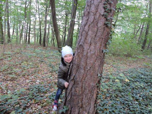  Grafika #16: Jesienny spacer po parku.