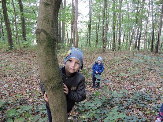  Grafika #15: Jesienny spacer po parku.