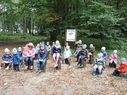  Grafika #2: Jesienny spacer po parku.