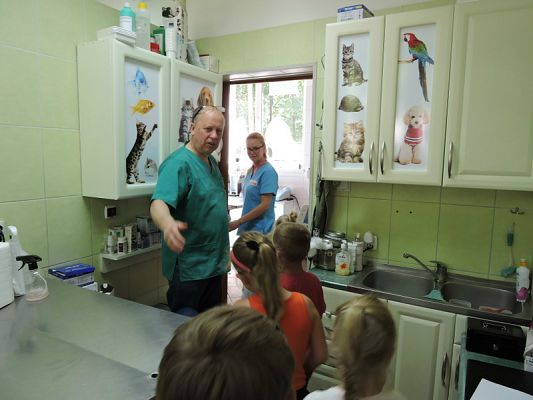  Grafika #5: Wycieczka do Lecznicy Zwierząt