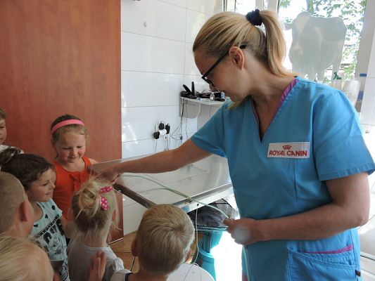  Grafika #6: Wycieczka do Lecznicy Zwierząt