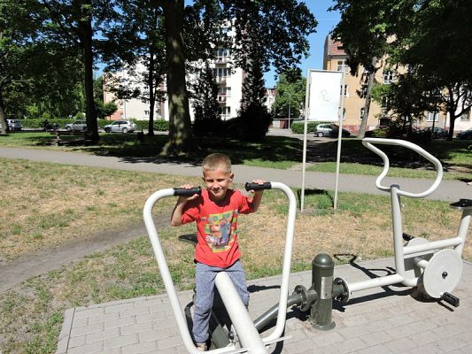  Grafika #9: Wycieczka do Lecznicy Zwierząt