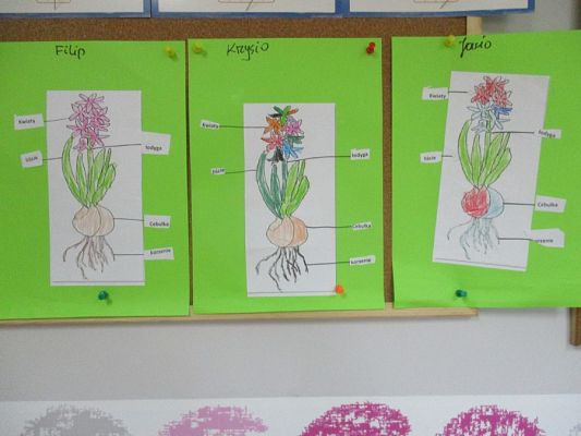  Grafika #11: Galeria Przedszkolaków - Święto Babci i Dziadka