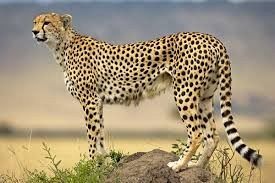  Grafika #2: Wakacyjna podróż