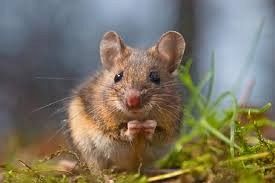  Grafika #3: Wakacyjna podróż