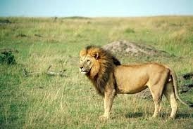  Grafika #4: Wakacyjna podróż