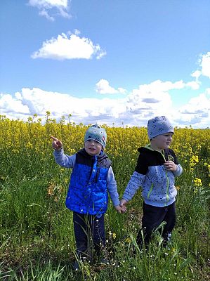  Grafika #5: Galeria przedszkolaków