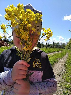  Grafika #6: Galeria przedszkolaków