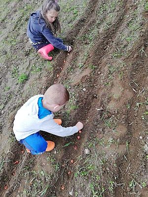 Grafika #40: Galeria przedszkolaków