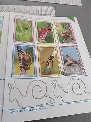  Grafika #30: Galeria przedszkolaków