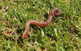  Grafika #9: Jak tu pięknie i wesoło