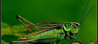  Grafika #6: Jak tu pięknie i wesoło