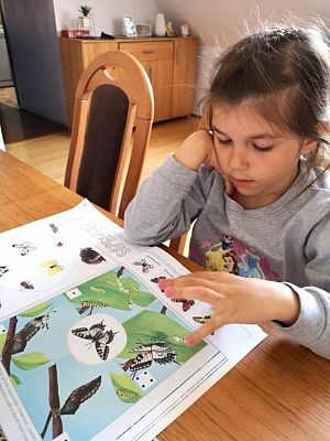  Grafika #8: Galeria przedszkolaków