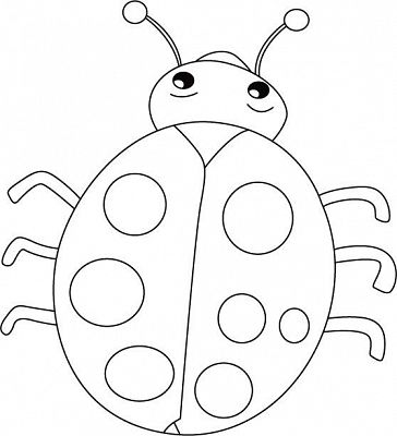 Grafika #7: Owady i kwiaty