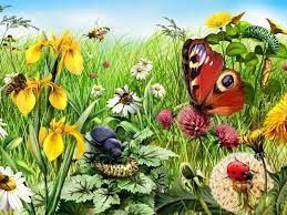  Grafika #1: Owady i kwiaty