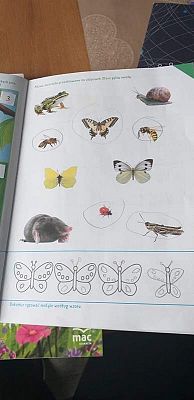 Grafika #42: Galeria przedszkolaków