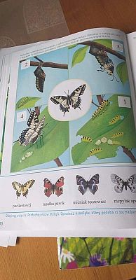 Grafika #43: Galeria przedszkolaków