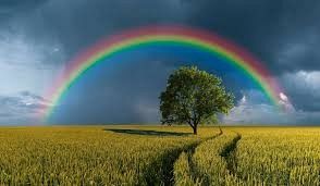  Grafika #1: Łąka majowa