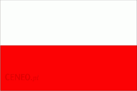  Grafika #3: Kolory flagi. Uroki Warszawy