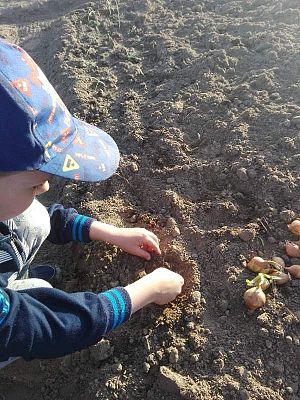 Grafika #37: Galeria przedszkolaków