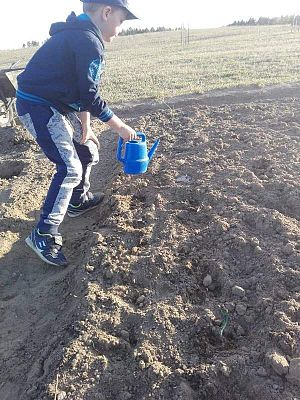 Grafika #38: Galeria przedszkolaków