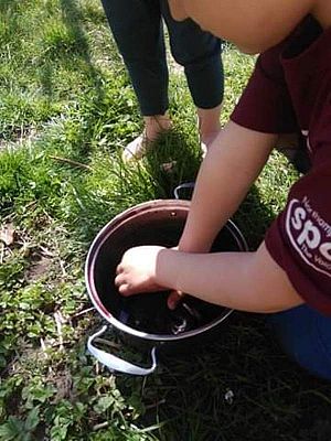 Grafika #54: Galeria przedszkolaków